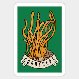 Cordyceps Magnet